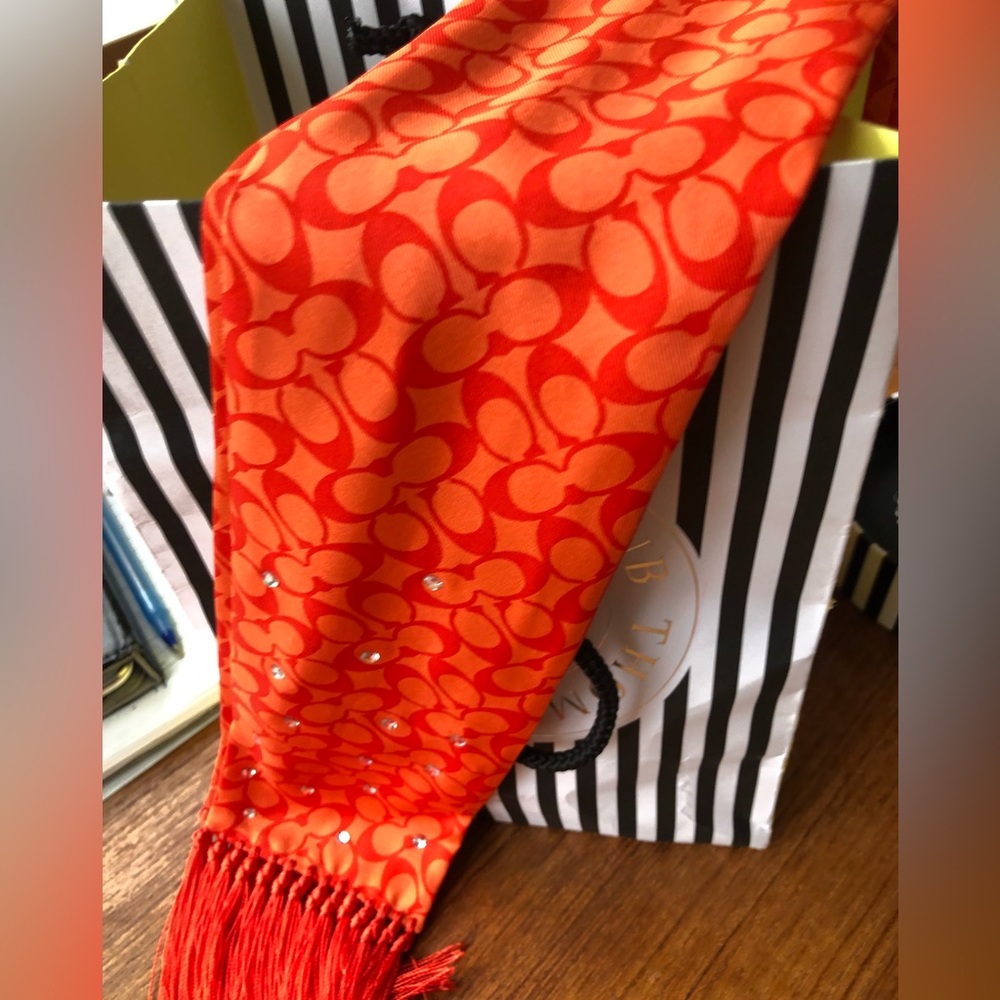 Real Silk Coach Scarf